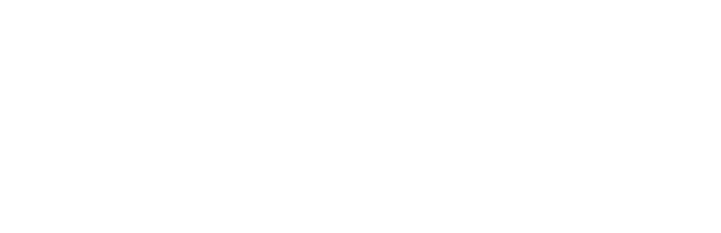 Berg and Walsh Logo white